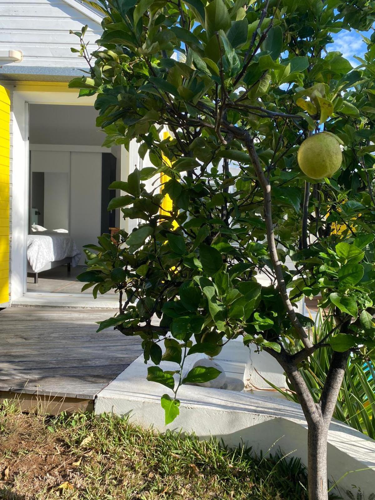 Villa Ylang Saint-Gilles-les Bains Dış mekan fotoğraf